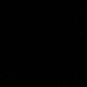 Meet your Posher, Shania